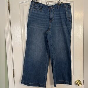 Lands' End Womens Blue Jeans